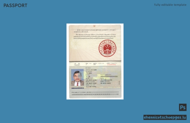 Beispielansicht eines chinesischen Reisepasses 2007-2009